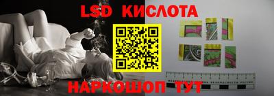 гидропоника Пугачёв