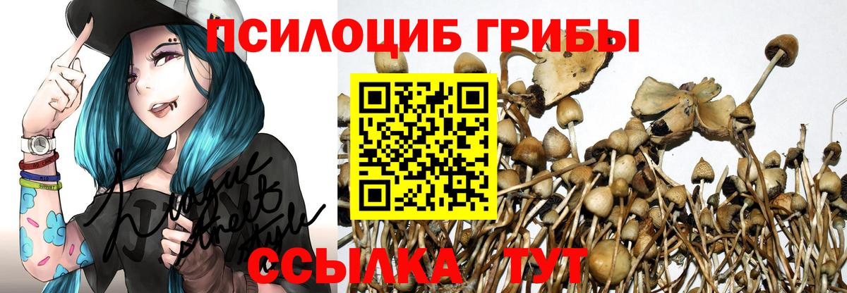 Галлюциногенные грибы ЛСД Петрозаводск