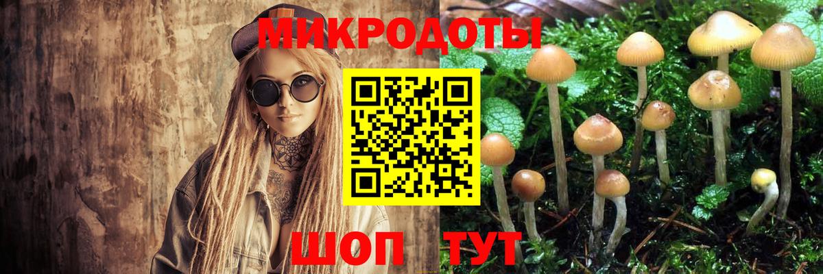 Петрозаводск  Псилоцибиновые грибы GOLDEN TEACHER  Вход с VPN 